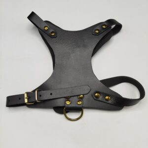 Leather Dog Harness Heavy Duty Black Padded Pet Chest Strap for Large Dogs Training